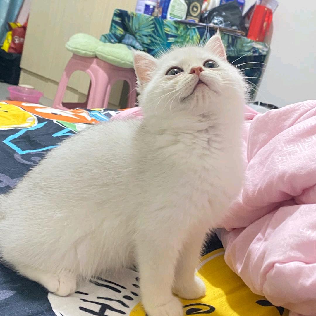 桃子🍑