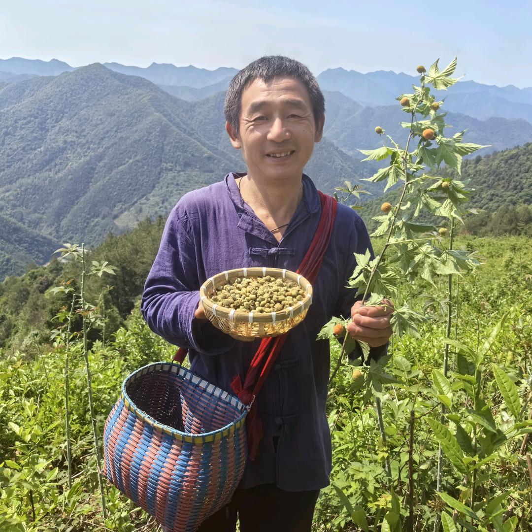 阳边农场