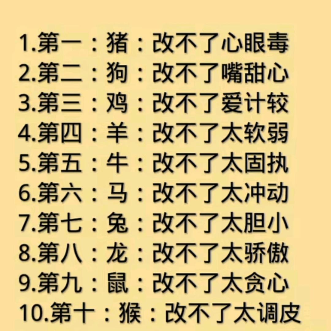 小龙626