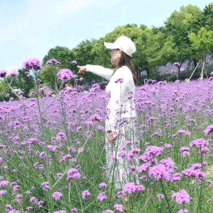 ᠻꪖꪒᧁ芳ঞ࿐