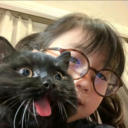 小王子的第无数次日落✨