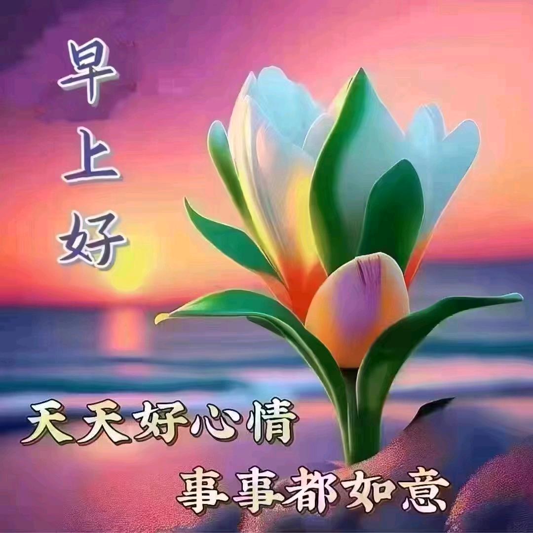 开心妞