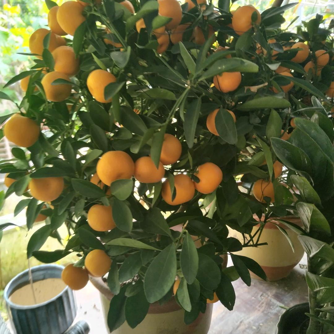 ⊙！🀄️诚信第一🀄️🀄️🀄️