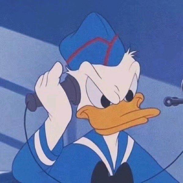 陈罗衣