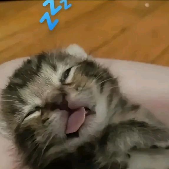 洋芋粑