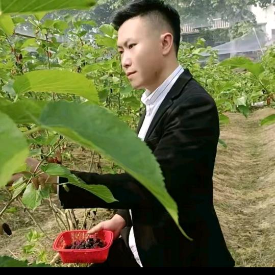 ៚关岭匠心石材橱柜
