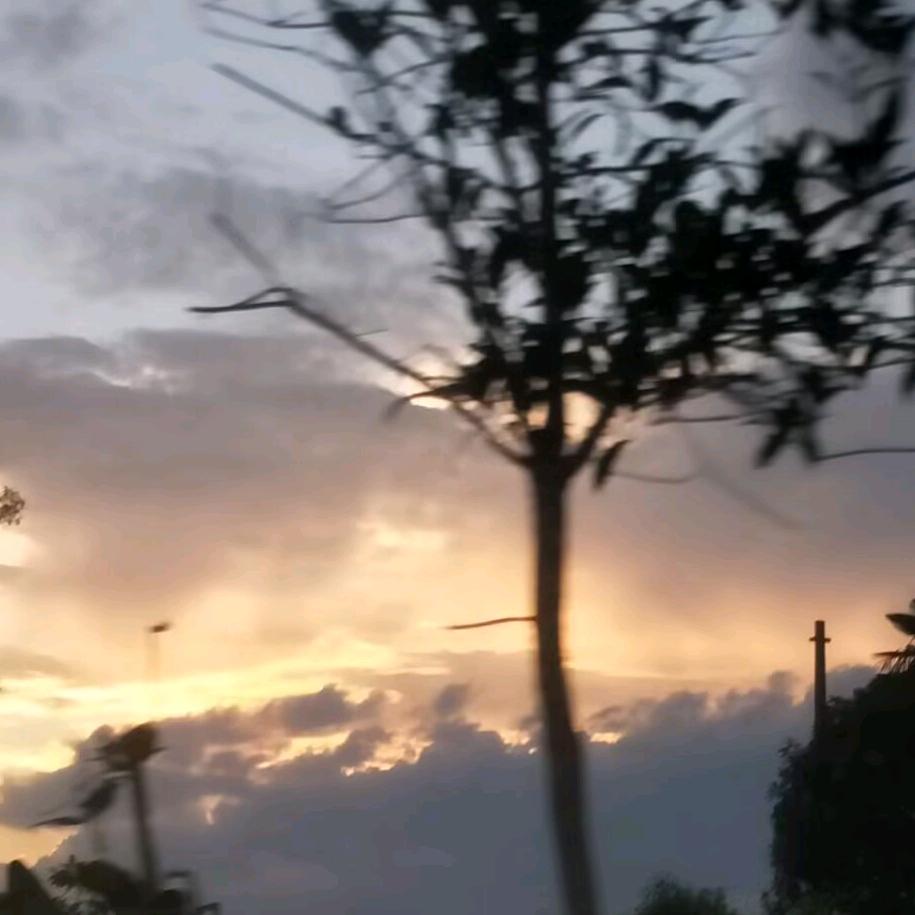 秧皖钰.