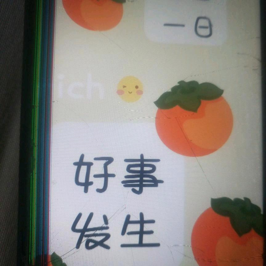 诚信对人梅花三弄收养流浪狗