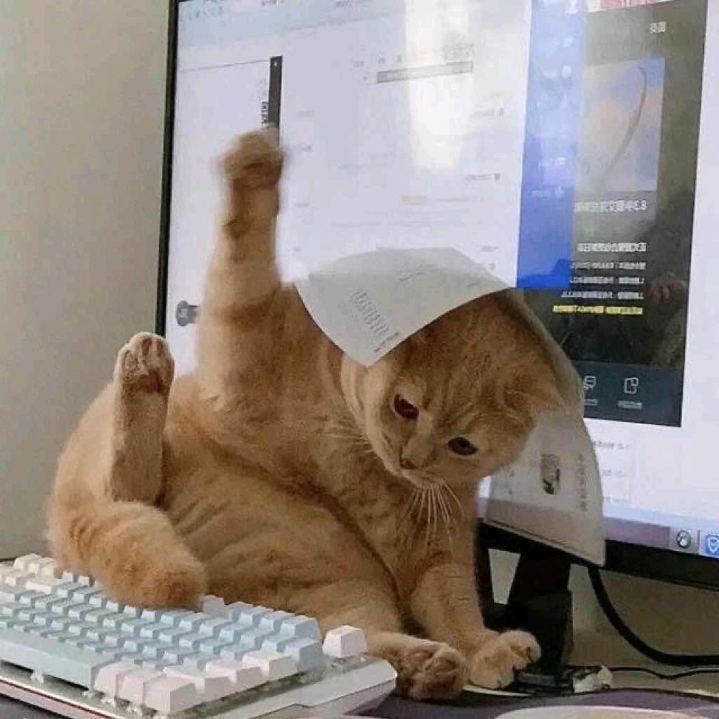 只想和你一起看海