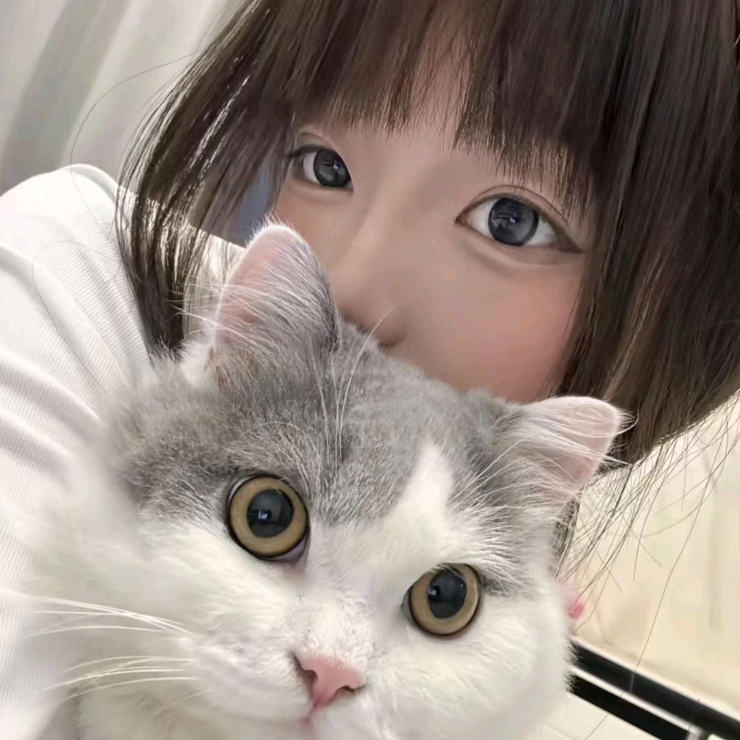 可爱的猫咪