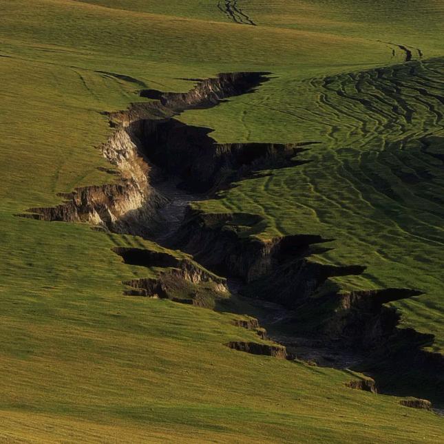 张鱼哥（非遗麦秆画版）📿