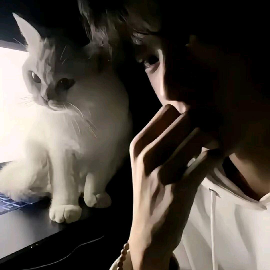 你猜
