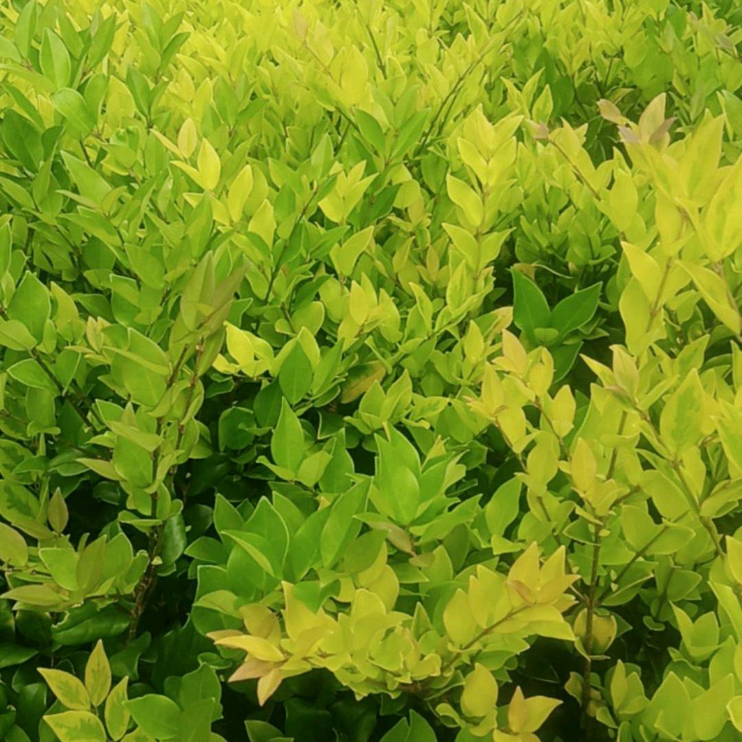 ꕥ᭄余生💞安好ꦿᩚ࿐