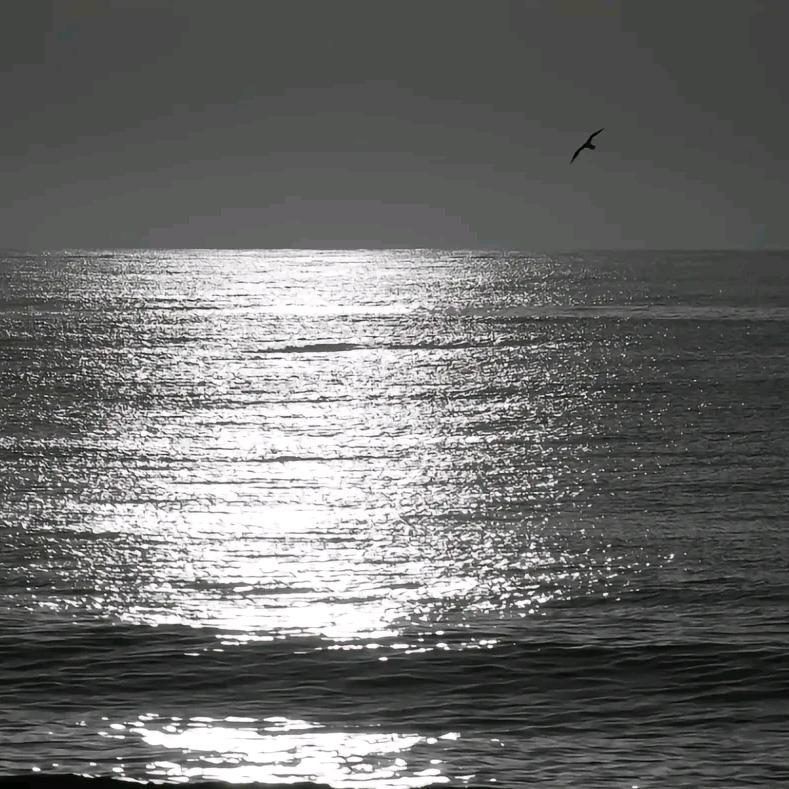 ㅤ      ㅤ