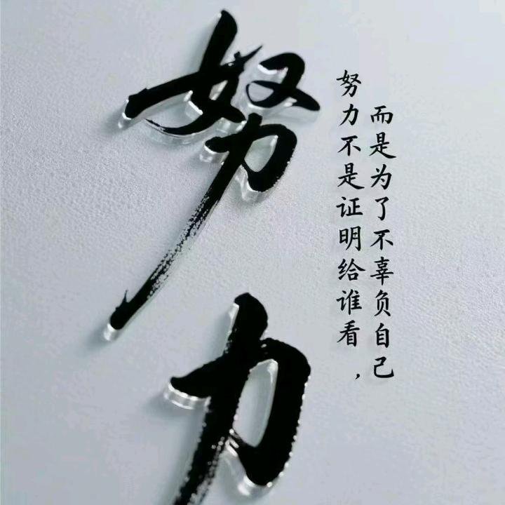 ysxndr