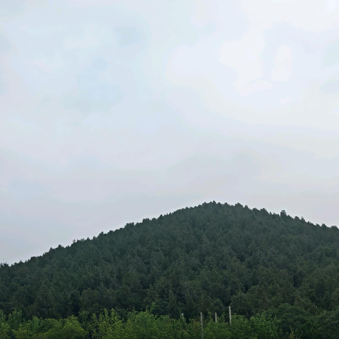 Z 先生