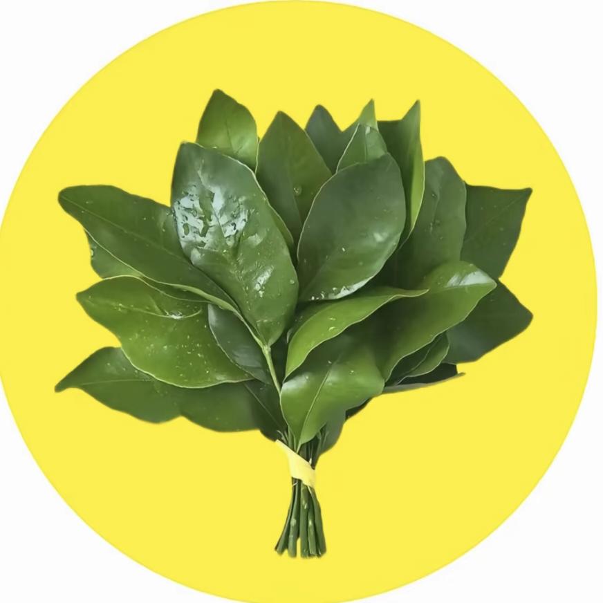 鸿运当头发大财