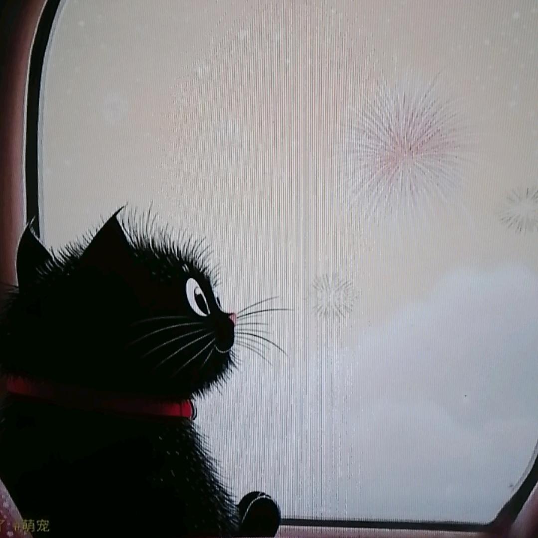 陈梦雨