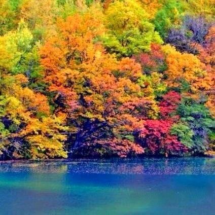 见贤思齐（广田）