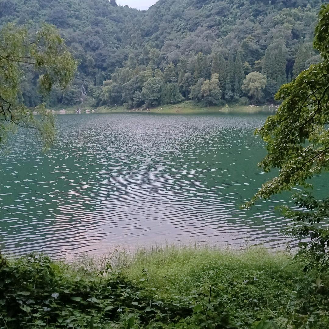 听心