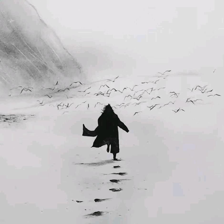 袁气满满的每天