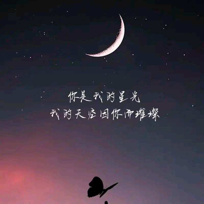 招财是只喵🐱🐱