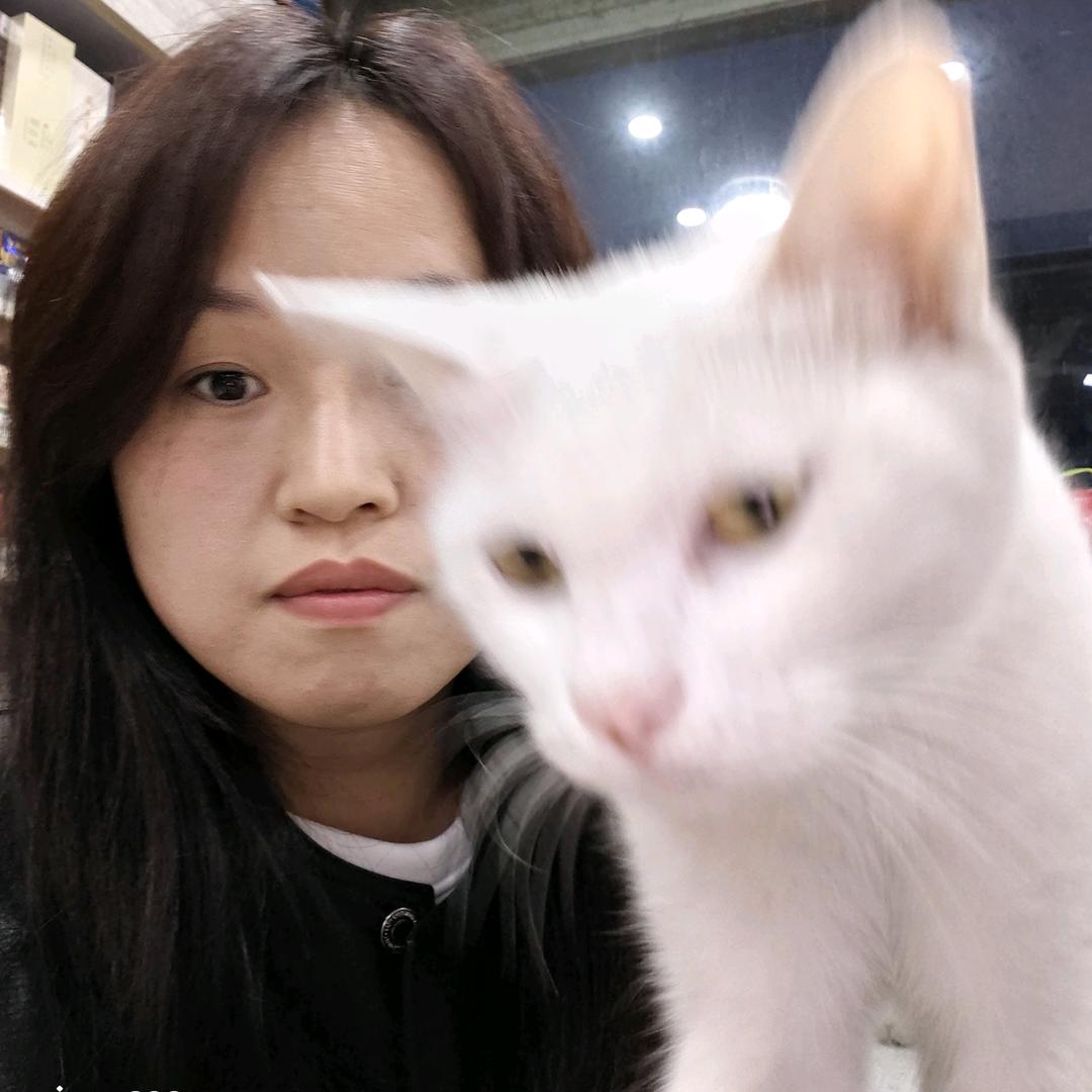抹抹