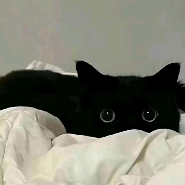 被小美骗走250万