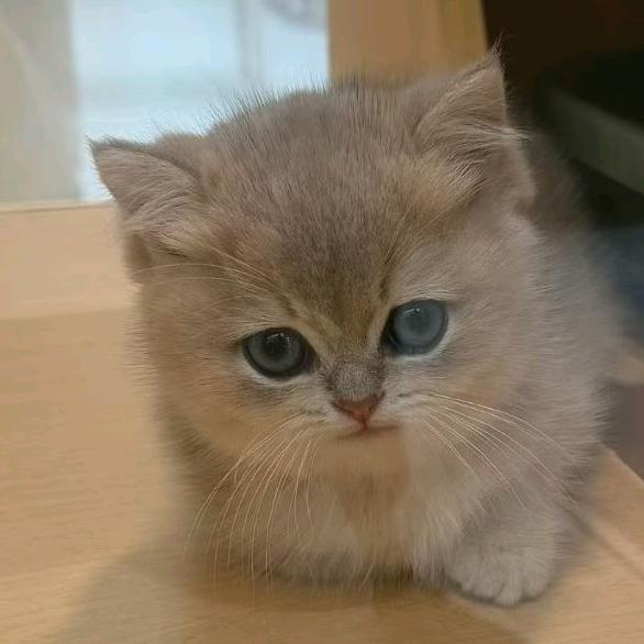 ៚᭄꯭💔⃟玖笙࿐