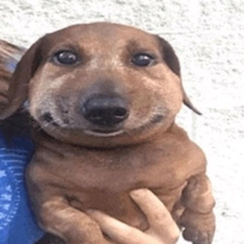 Annie是小丑熊🐻