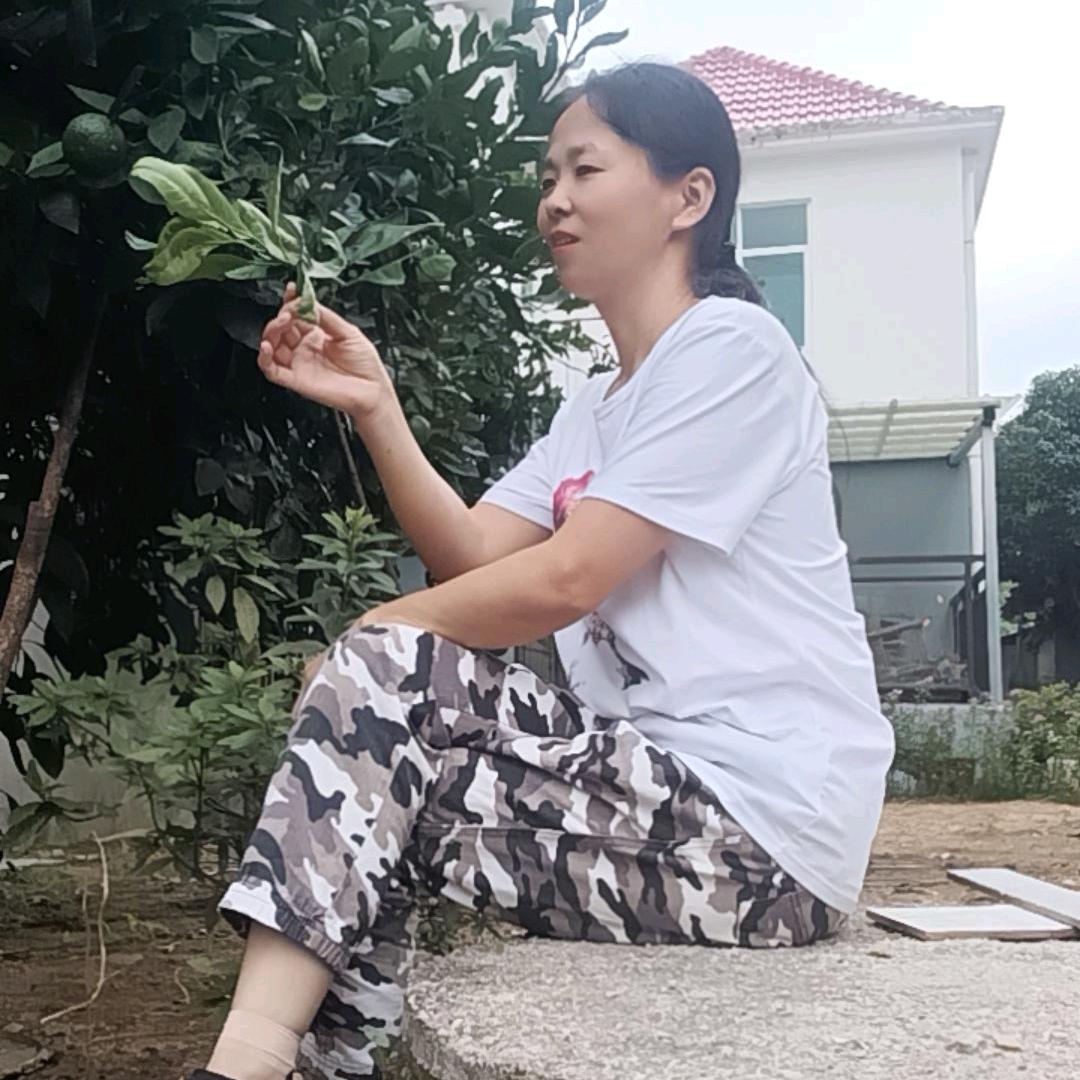 红🌺梅🌺傲🌺雪🌺
