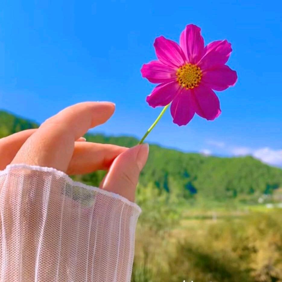 丹💓