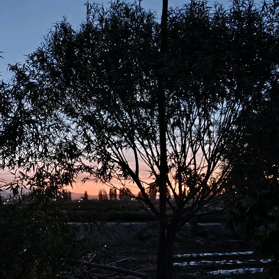 ઈ上ཽ上ཽ签༊