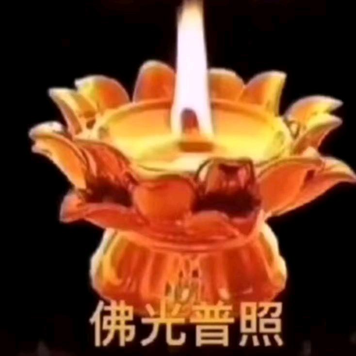 归心