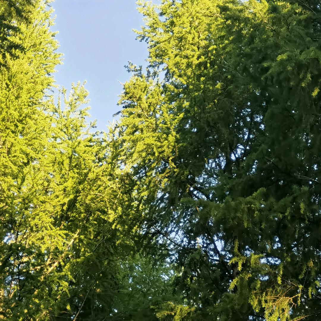 用户5716628049394