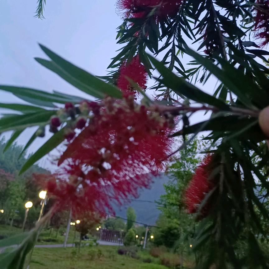 细水长流