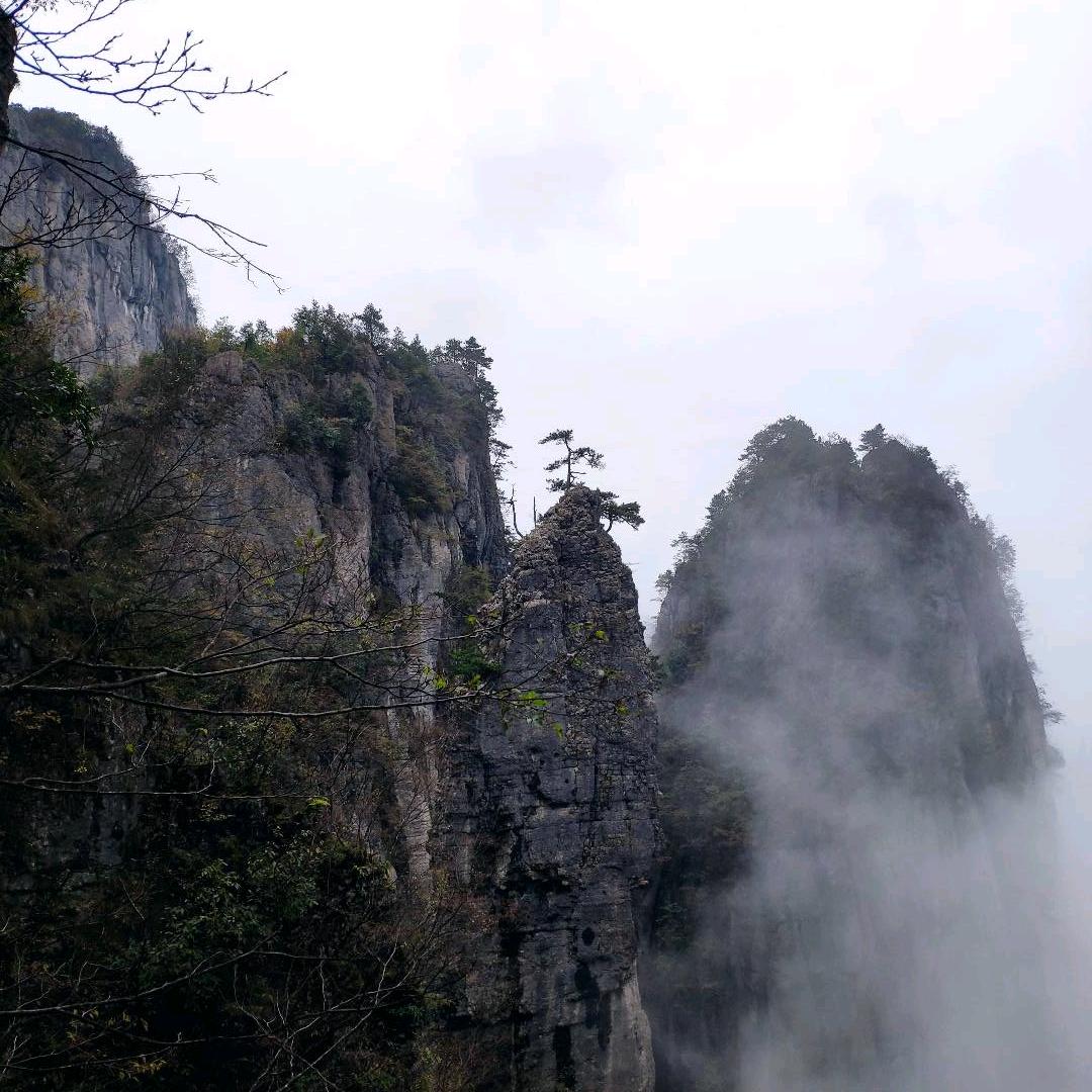 陶人