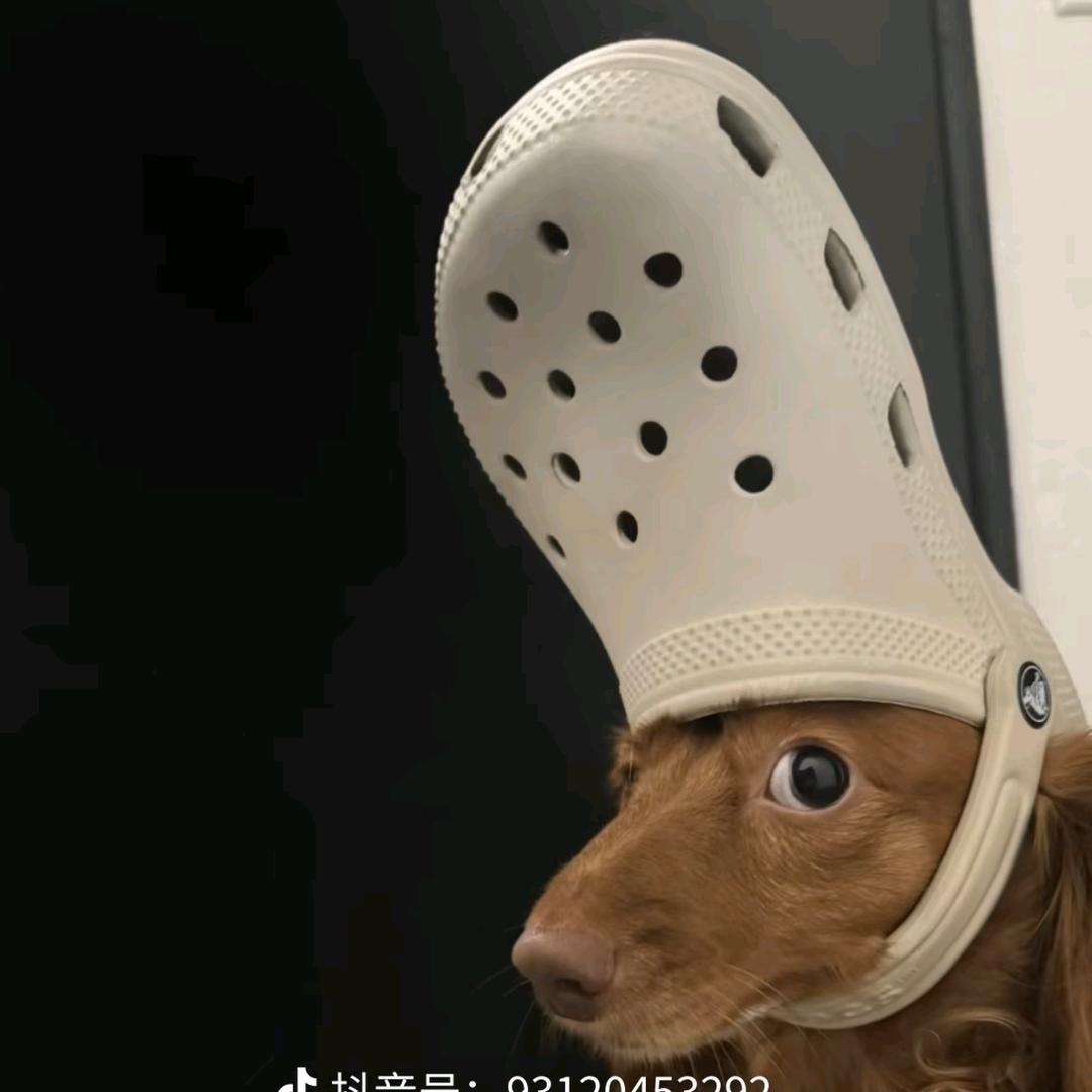 圆圆的脸-