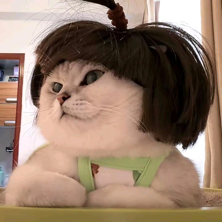 小巴不迷糊