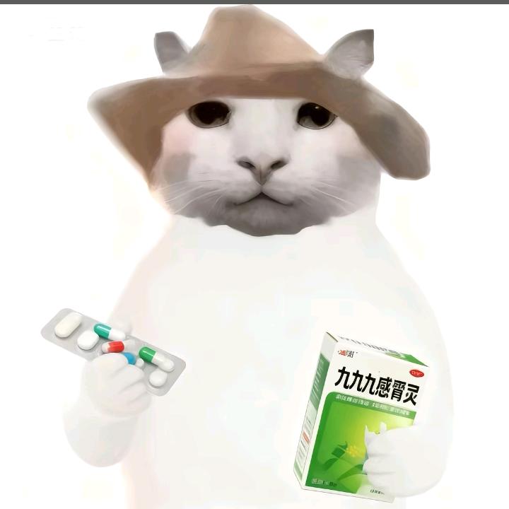 🥑没有梦想的咸鱼酥