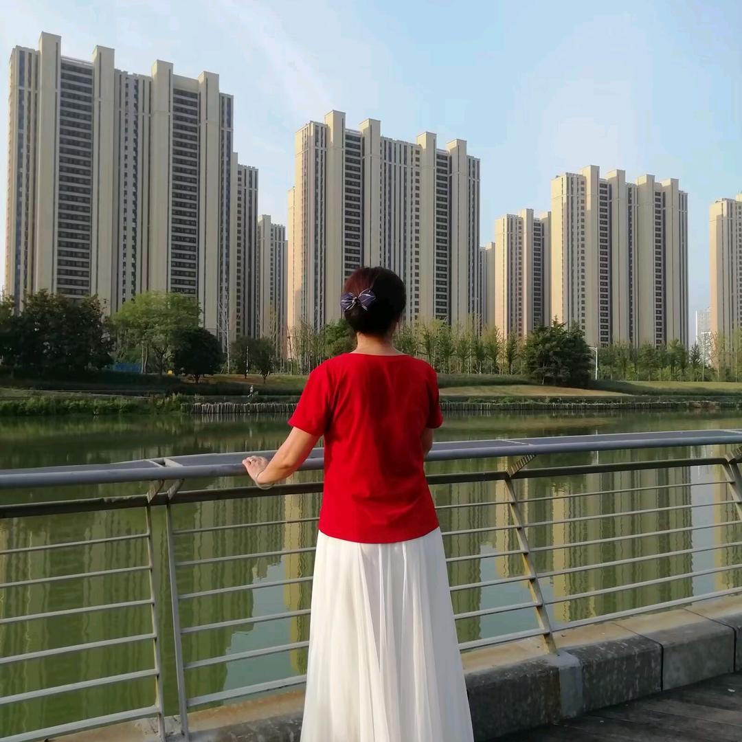 鸽 子🌹
