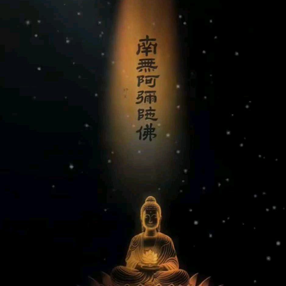 星宝