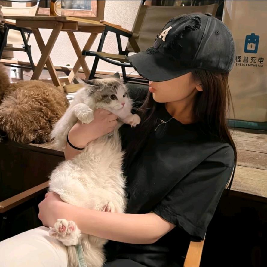 皮蛋瘦肉粥