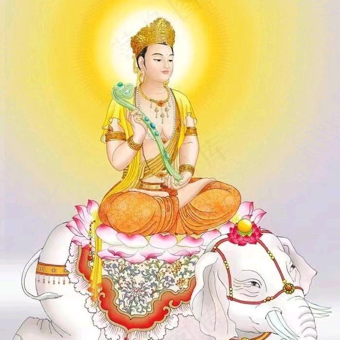 一心念佛🙏🏼