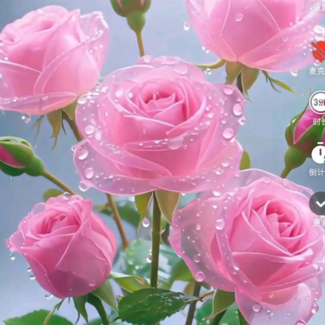 🌹顺🌹其🌹自🌹然🌹