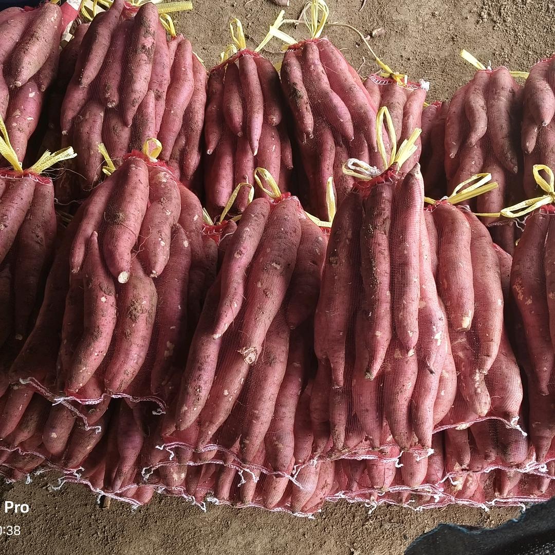 @凡&庆《张良吉祥红薯》骊美薯业