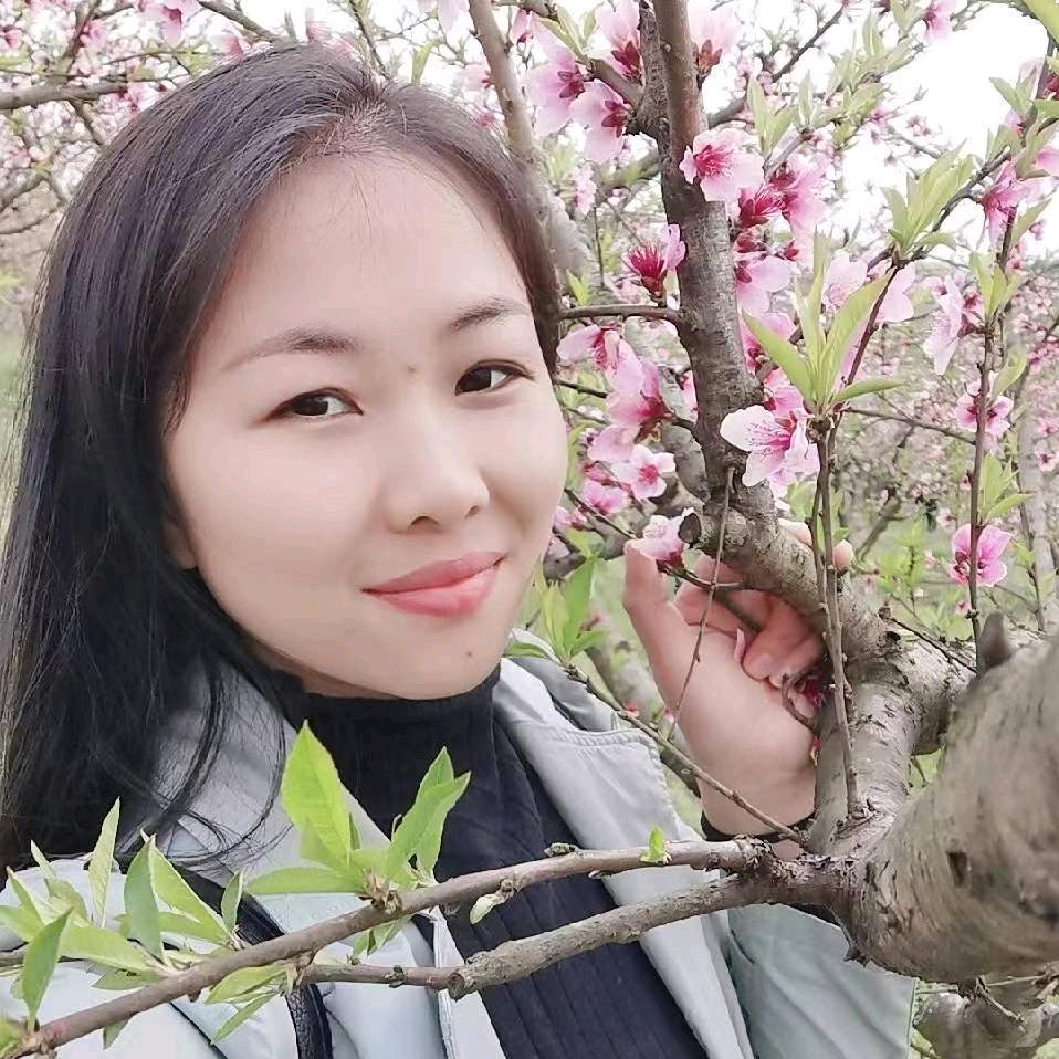 荣昌英姐（单只蝴蝶🦋）