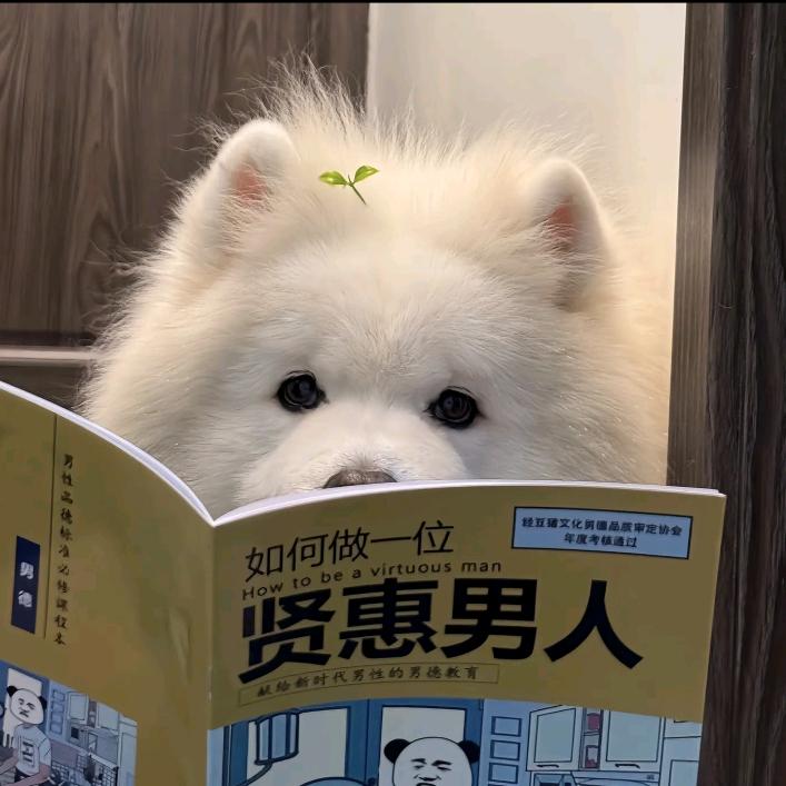 来十杯生椰拿铁