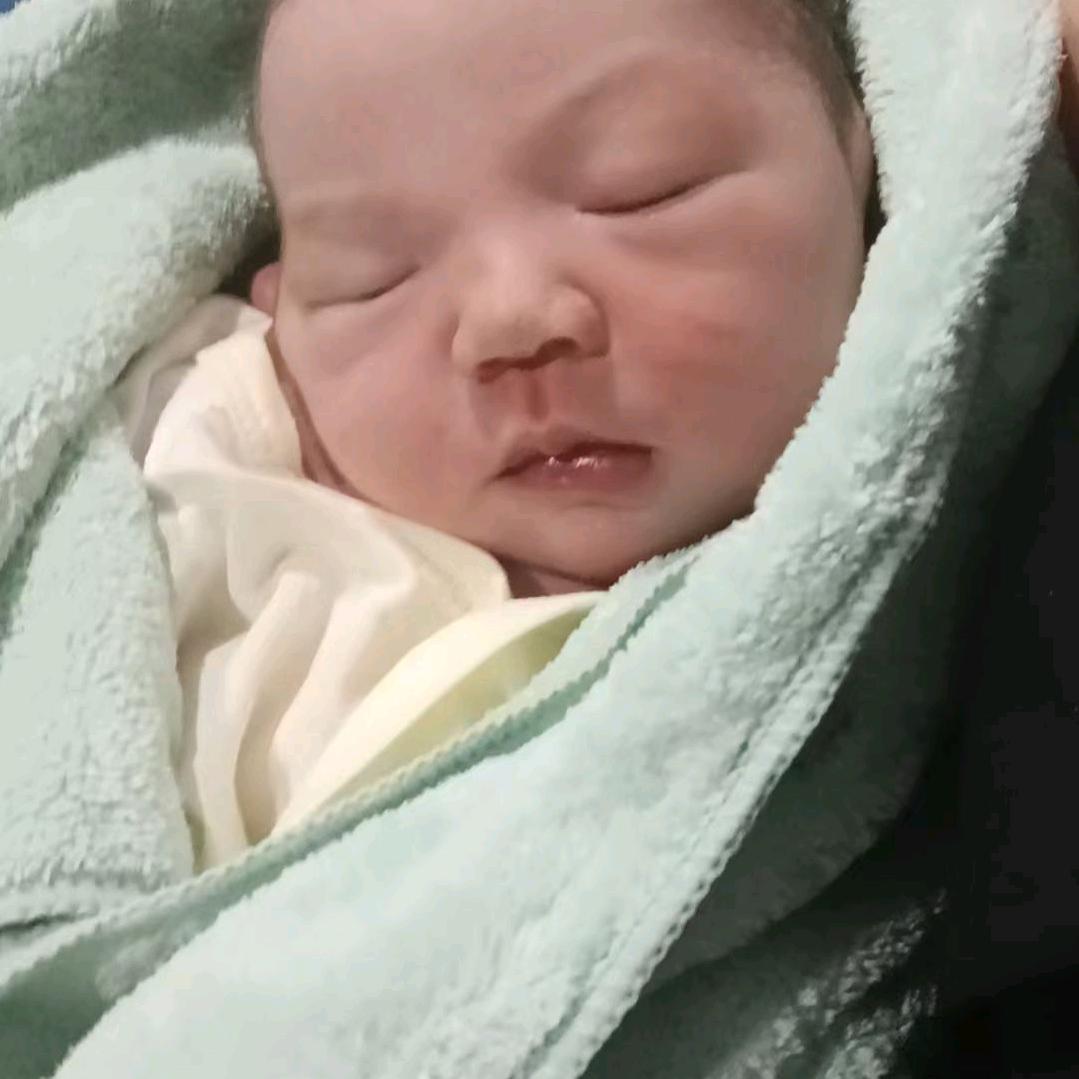 张雷