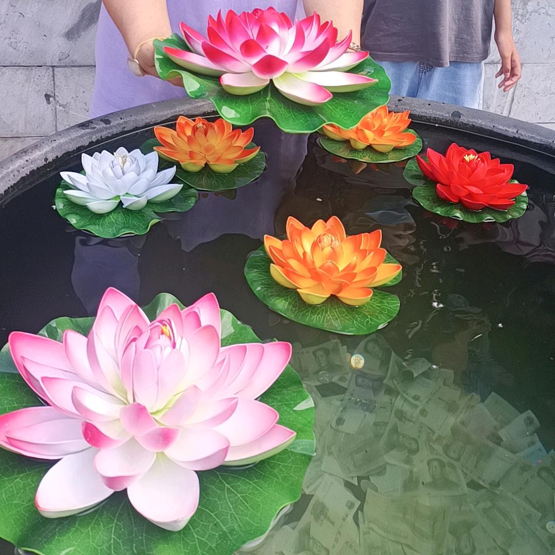 遇见（橱窗逛一逛）